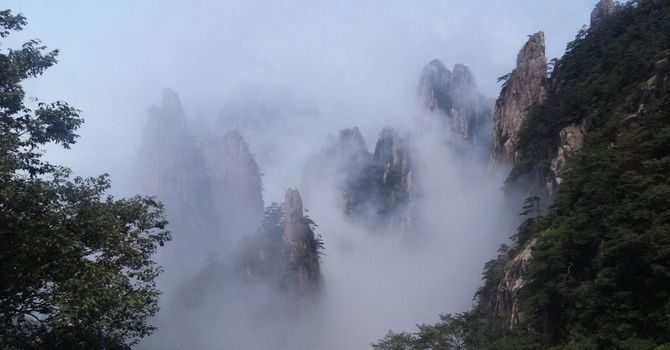  Doctor in Your Pocket