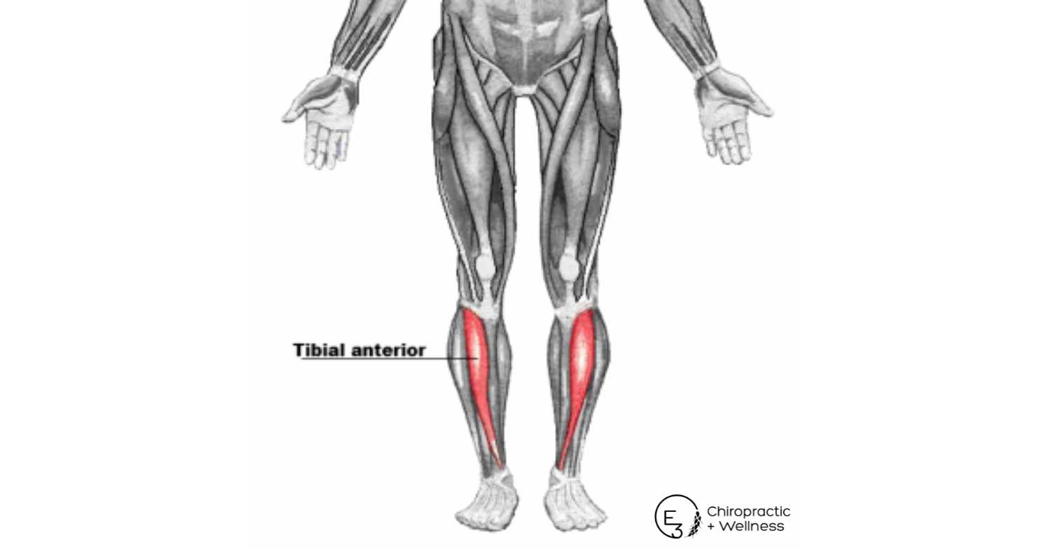 Three Lower Leg Exercises Every Runner Should Do | E3 Chiropractic ...