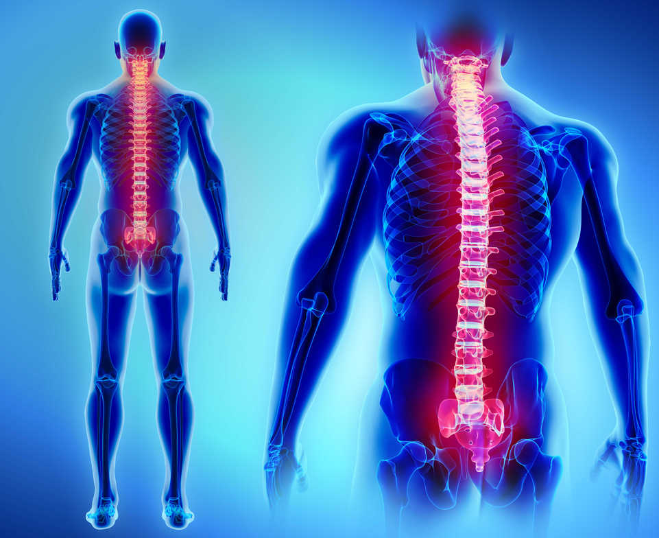 Spinal Cord Injuries