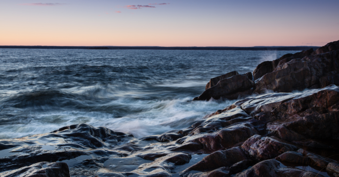 No New Trauma  image