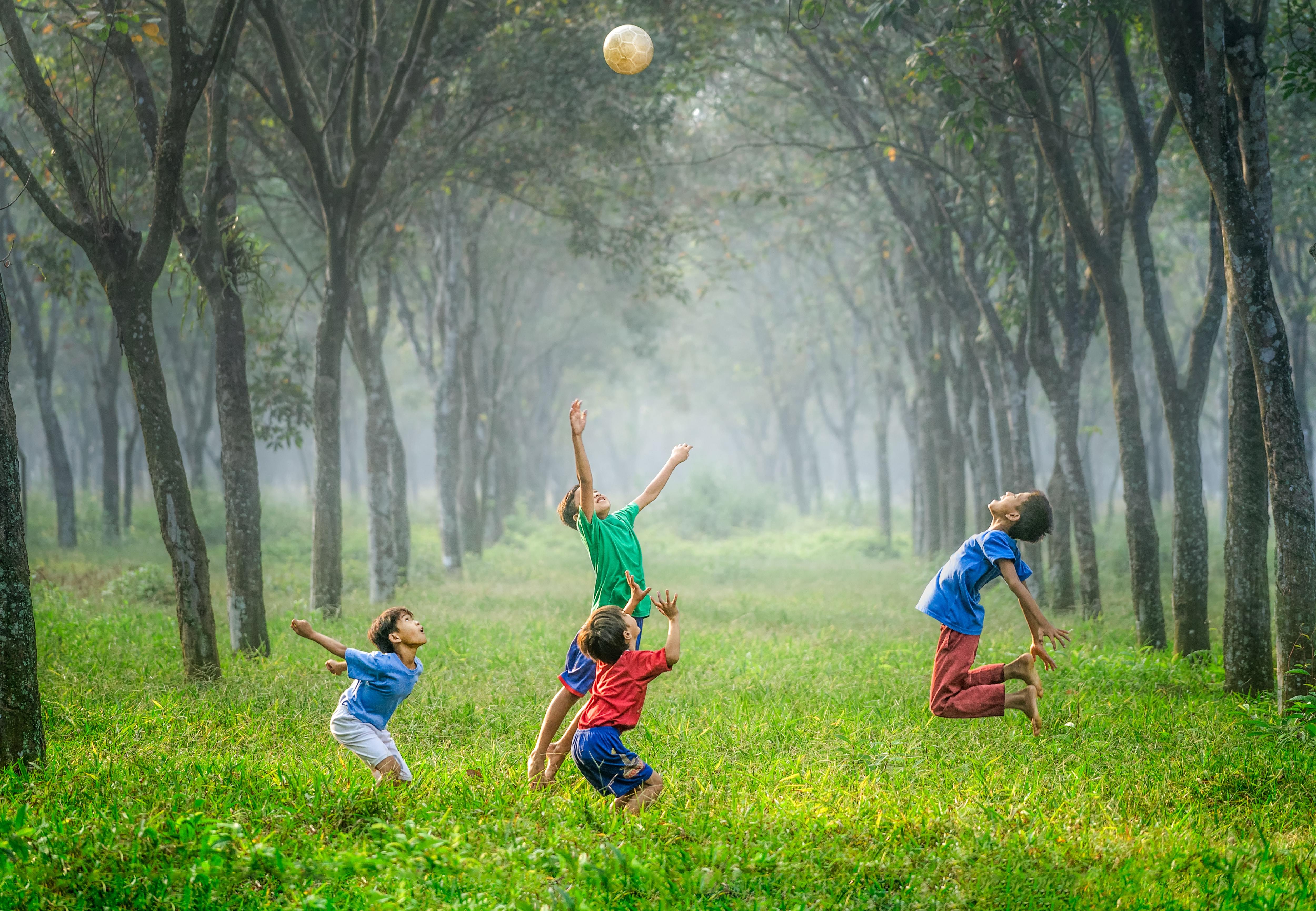 Robert collins tvc5imo5pxk unsplash%202
