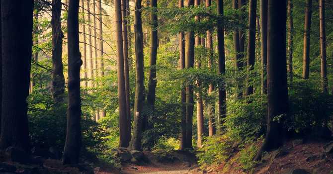 The Transformative Power of Emotional Awareness: Unveiling the Benefits for Mental Well-being image