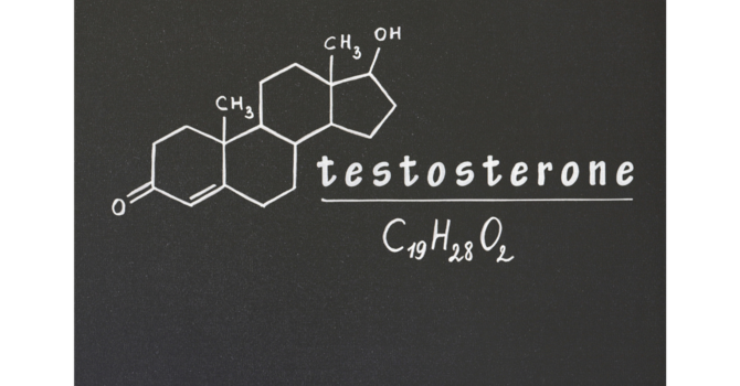 Medical - Primary Care / Family Medicine