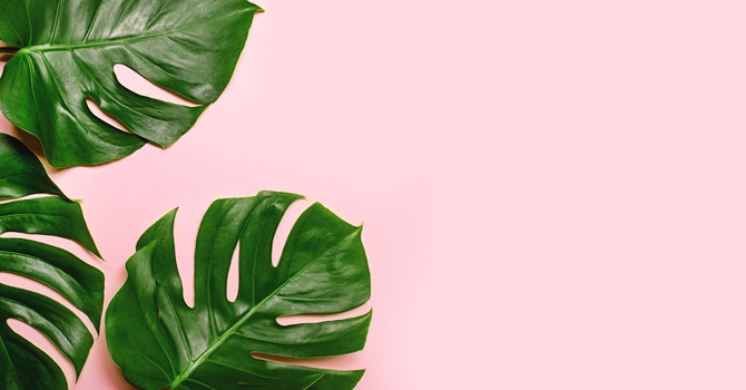 Registered Massage Therapy