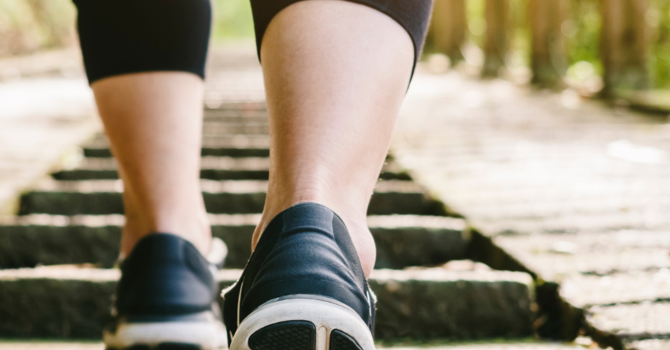  Chiropractic for Pain Relief 