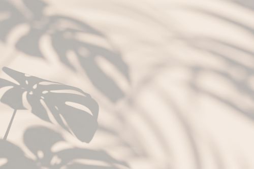 James Shibasaki-Gareau