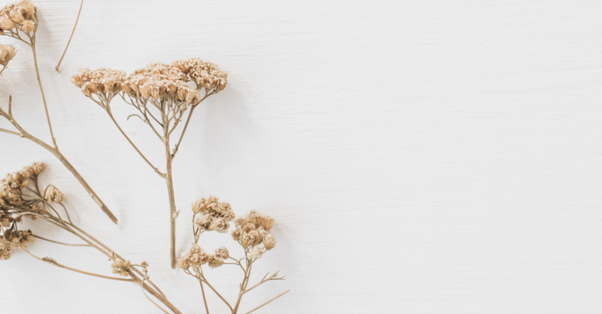 Feeling Good, Living Fully: The Journey to Prioritizing YOU image