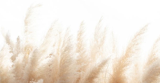 Lume-Discovery Session