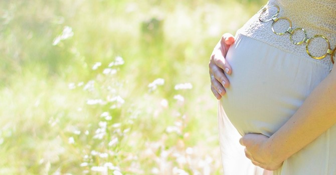 Pregnancy & Chiropractic image
