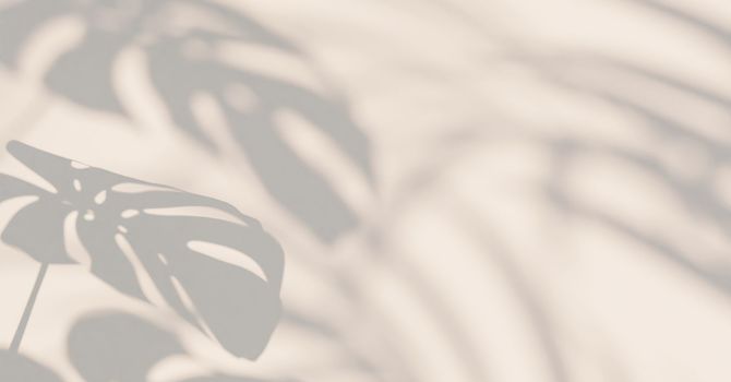 NouvaDerm Skin Resurfacing: The Best Skin Resurfacing treatment in Memphis image