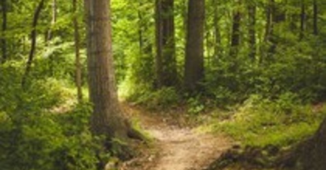 Interpersonal Effectiveness: Building Healthier Relationships with DBT Skills