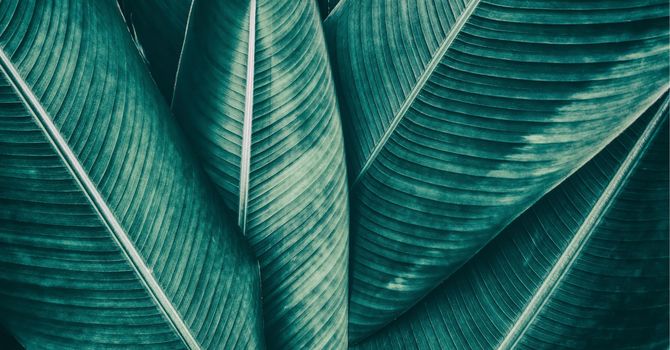 Psychotherapy individual