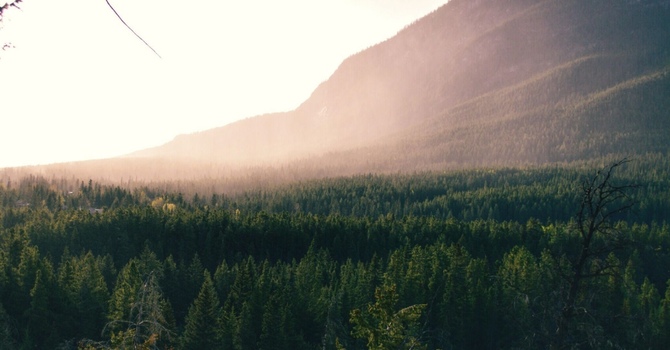 Somatic Psychotherapy