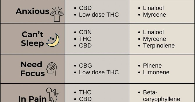Cannabis Education