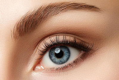 Link to: /programs/lash-brow-services