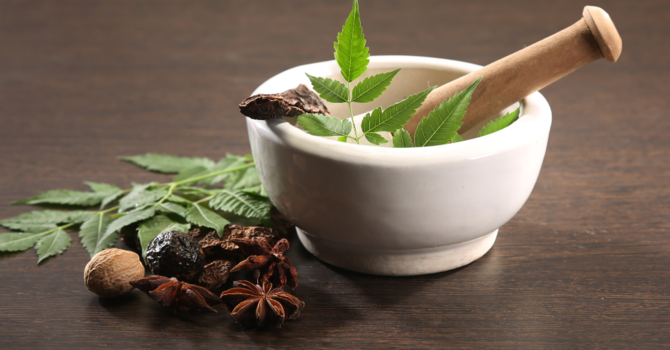 The Importance of Spinal Health for Overall Wellness