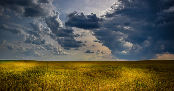 Anxiety Counselling in Melfort: Find Relief and Reclaim Peace of Mind