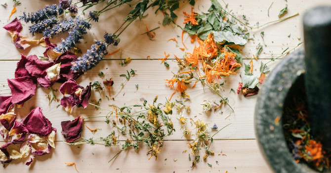 Chinese Herbal Medicine