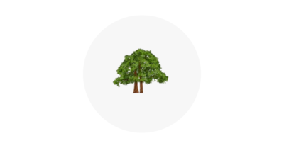 Two trees