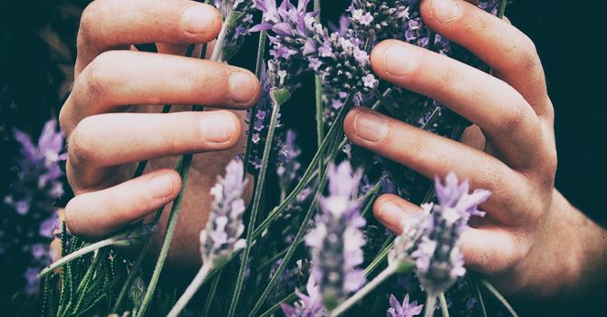 Managing Stress & Anxiety with TCM  image