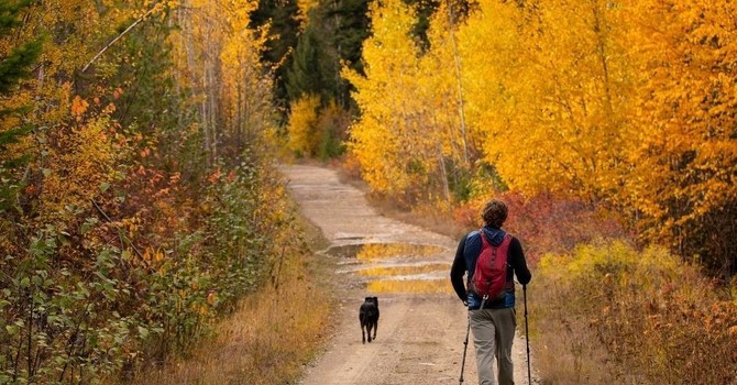 Tips For Fall