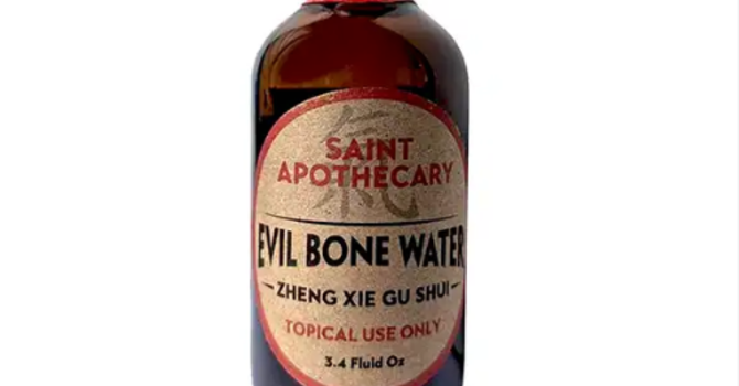 The Secret Healer on My Shelf: Evil Bone Water image