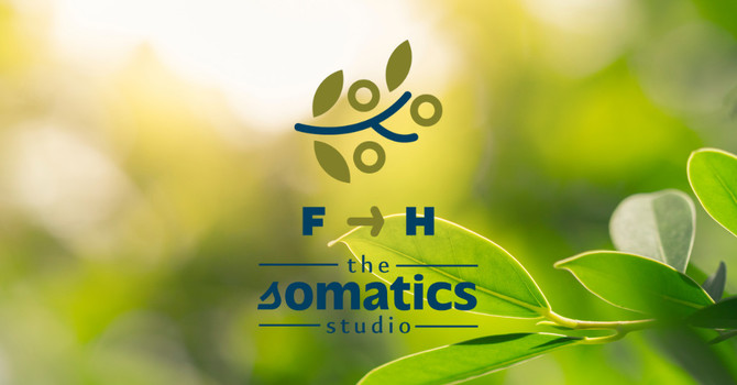 The Somatics Studio