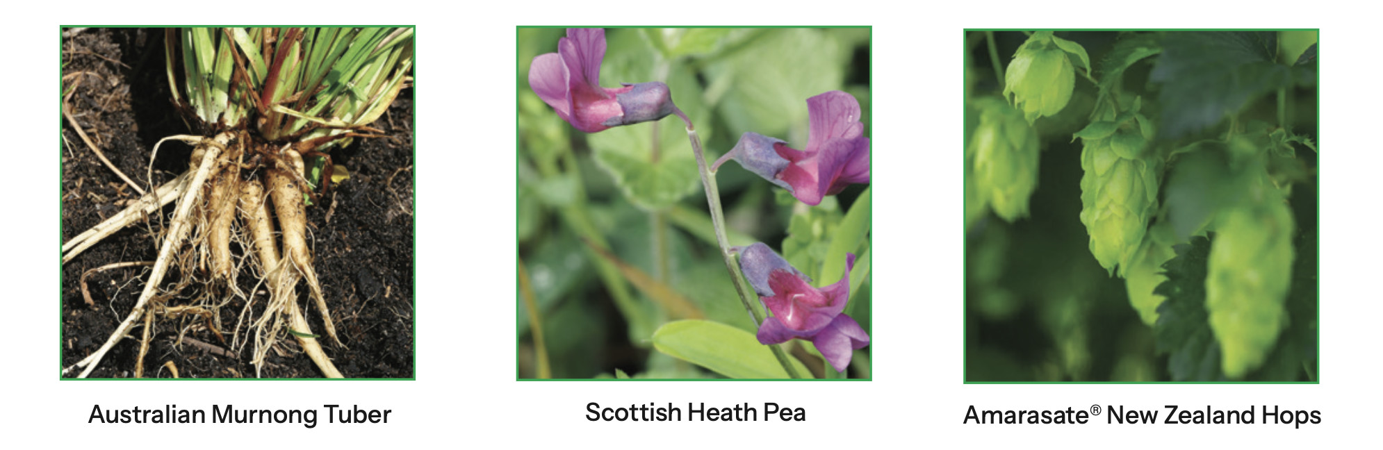 Screenshot 2025-10-22 at 1.44.49 PM