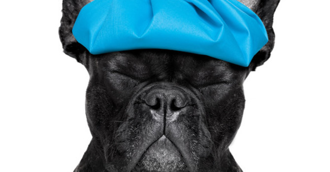 5 Simple Ways to Stay Healthy this Winter