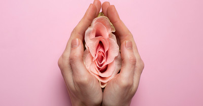 Female hands holding budding flower to represent genitalia. 