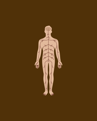 Nutrition Response Testing