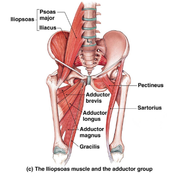 Pain Relief Without Surgery (38)