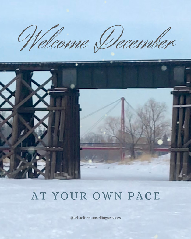 River iced over in with two bridges in view, peaceful winter scene encouraging mindfulness and self-care at your own pace, Schaefer Counselling Services.