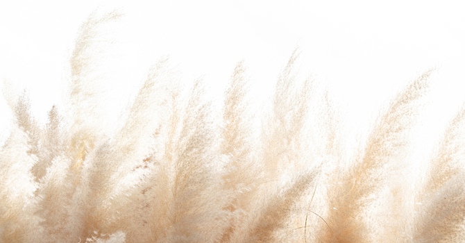 Can EMDR Therapy Help With Depression? 