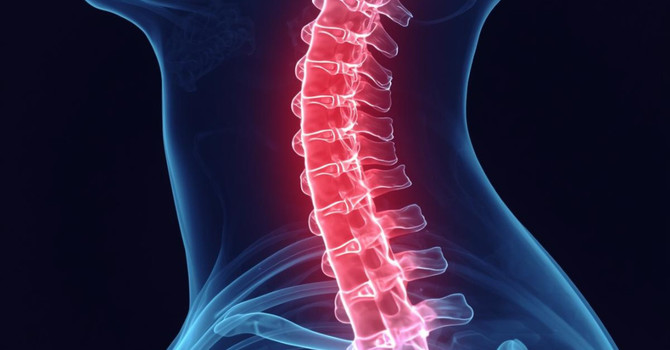 Neck and Upper Back Pain