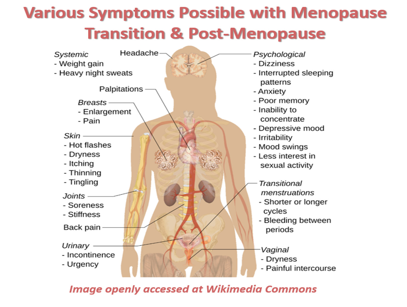 Menopause Symptoms