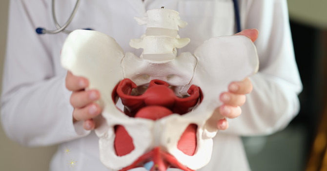 Neuro and Vestibular Physical Therapy