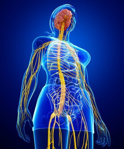 shutterstock_307275755