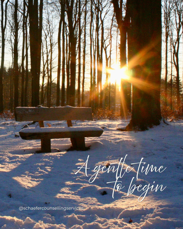 Snowy park bench in a forest, sunlight through trees, a calm space for reflection and mental health support in St. Albert.