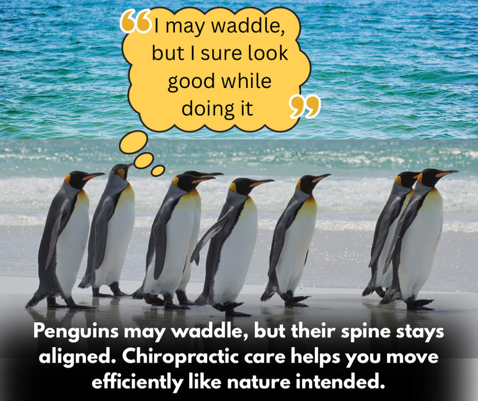 PENGUINS MASTERS OF POSTURE | CHIROPRACTOR IN GRNABURY TX