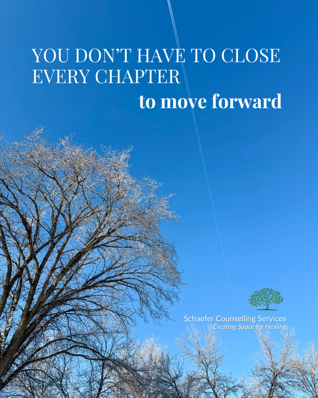 Winter sky and frosted trees in St. Albert with a jet stream.