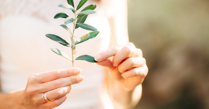 The Importance of Spinal Health for Overall Wellness image