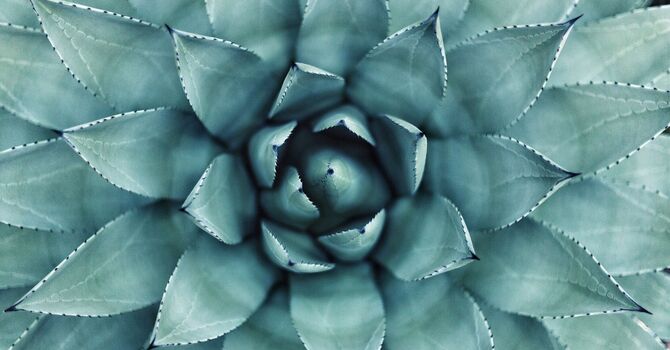 Frequency Specific Microcurrent