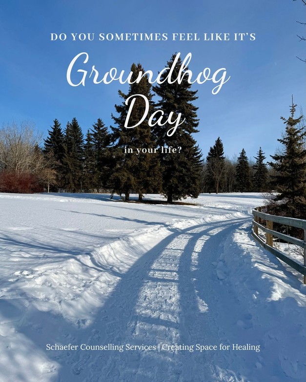 Snowy path with spruce trees under a bright blue winter sky, symbolizing reflection, mental health, and gentle counselling support in St.Albert.
