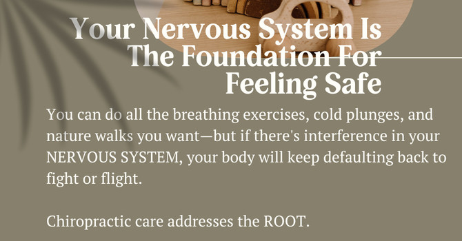 Feeling Stuck In Fight or Flight? image