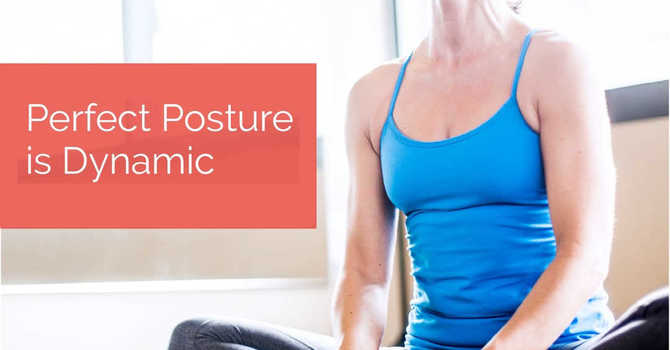 Perfect Posture is Dynamic image