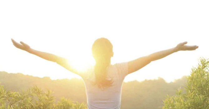 Longevity & Cellular Health