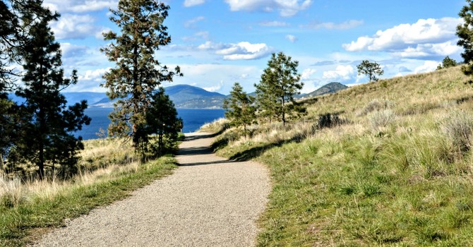 Spring Back into Activity image