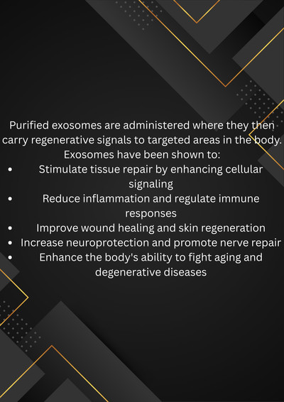 How Do Exosomes Work?