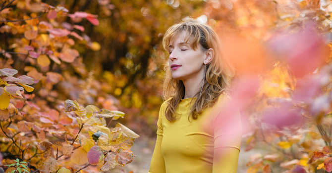 Finding Balance in the Midst of Life's Challenges image